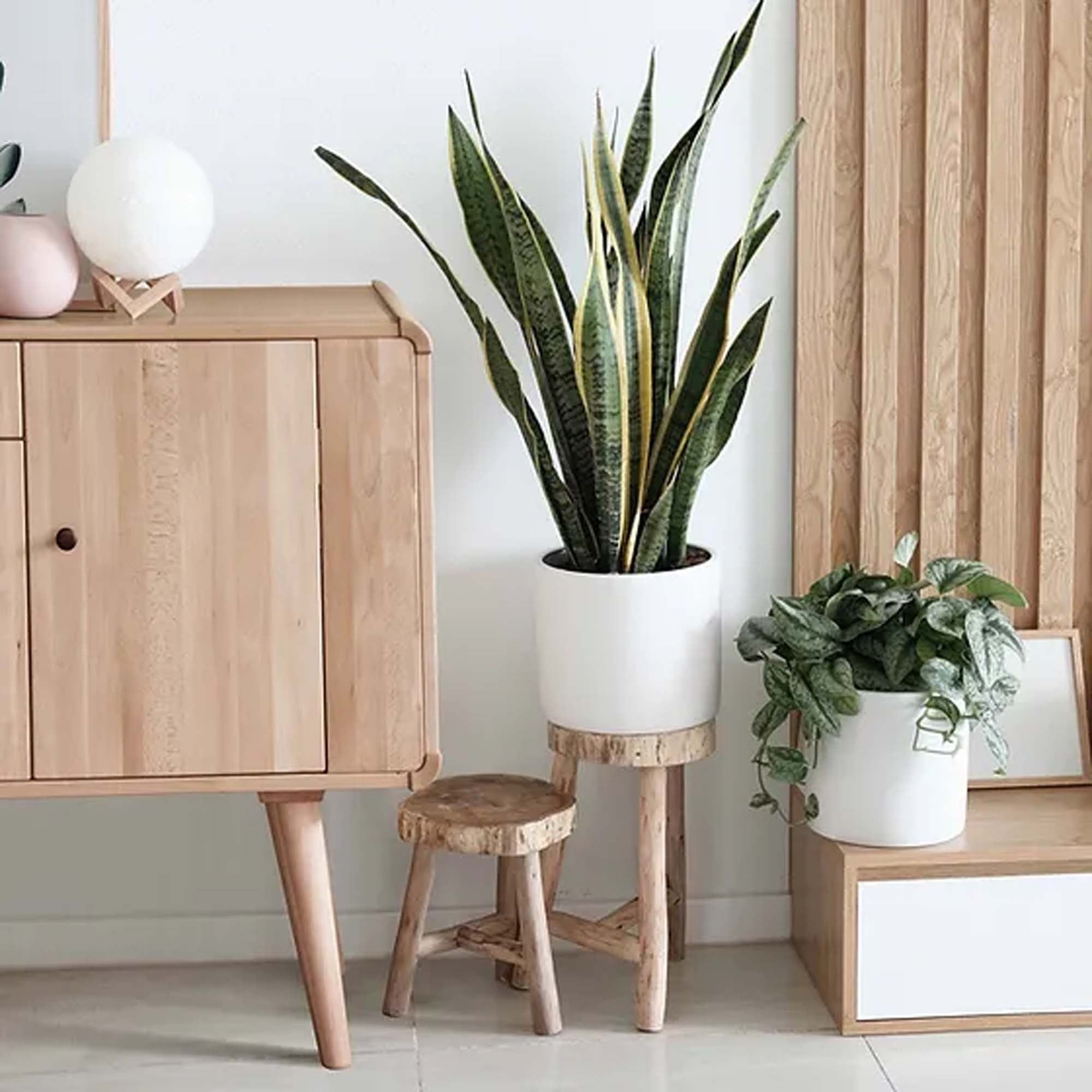 Комод BYRA з дуба - зображення 2