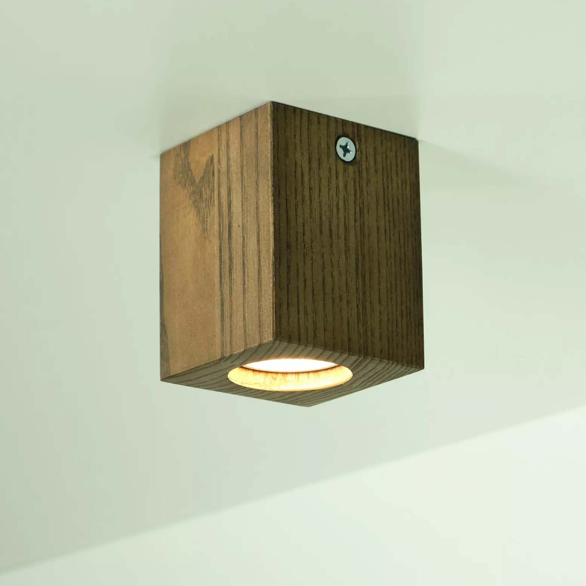 Світильник стельовий ITERNA CEILING - зображення 2