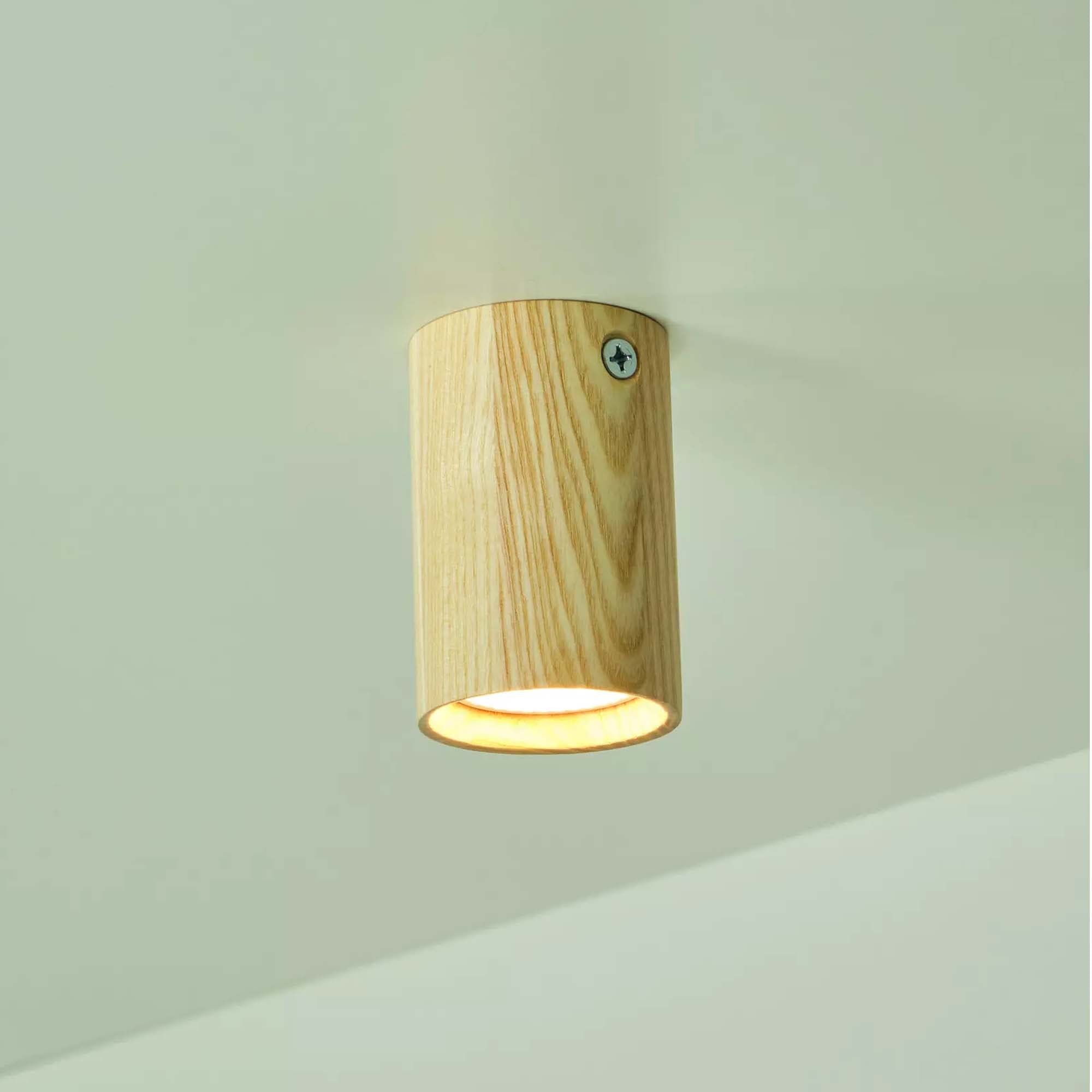 Світильник стельовий ITERNA LEIRVIK C - зображення 2