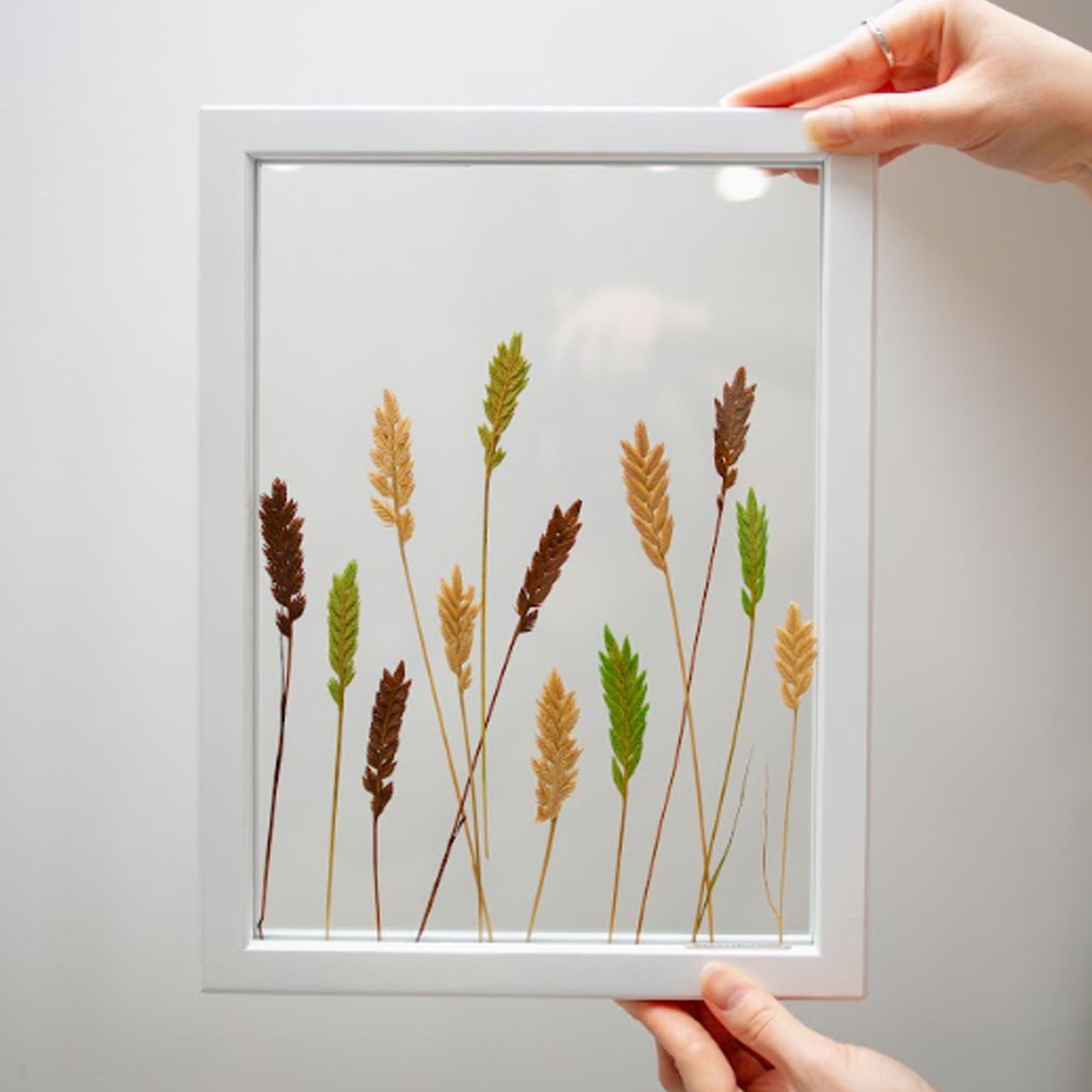 Панно КОЛЬОРОВИЙ ВІТЕР - зображення 1