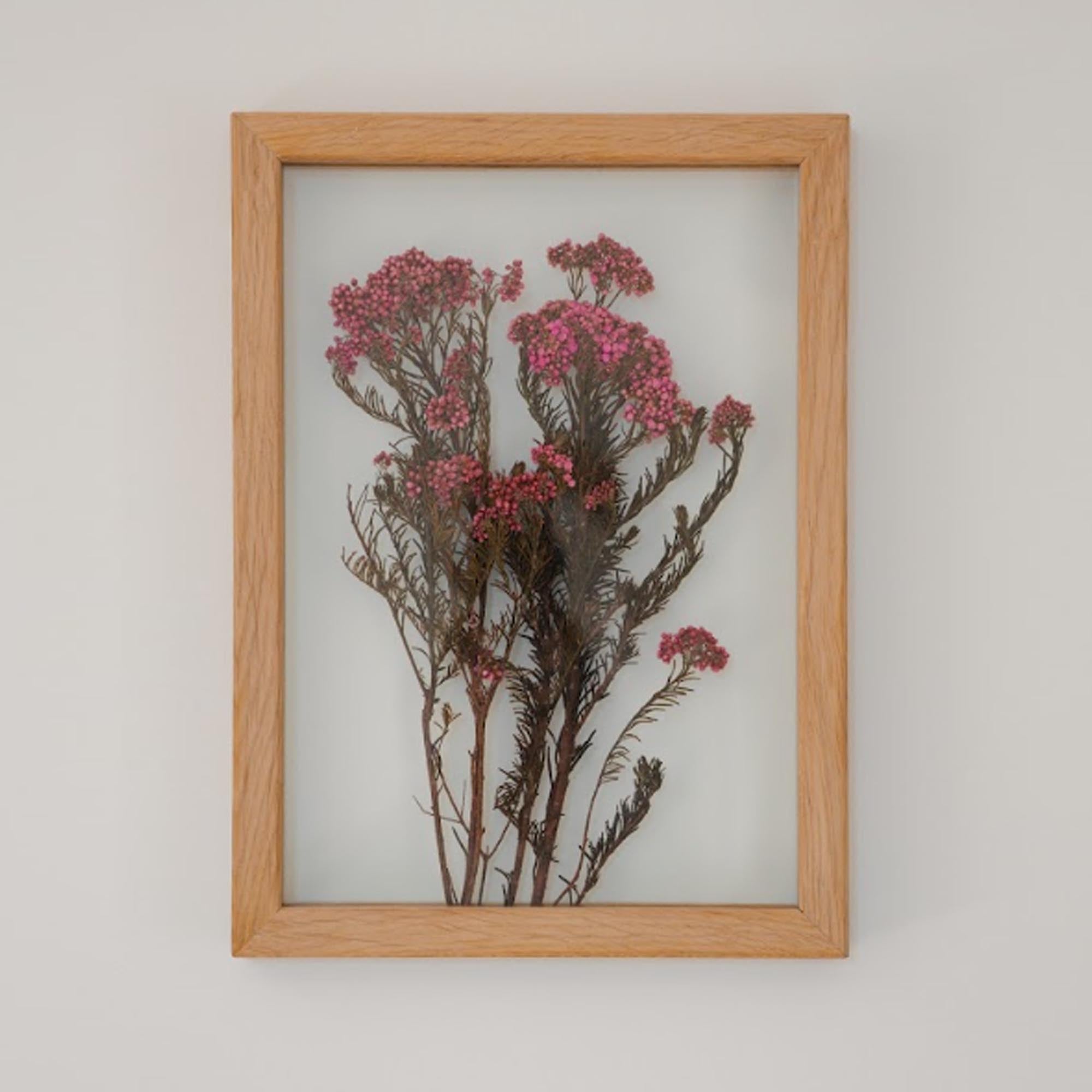 Панно РОЖЕВА НІЖНІСТЬ з сухоцвітами - зображення 1