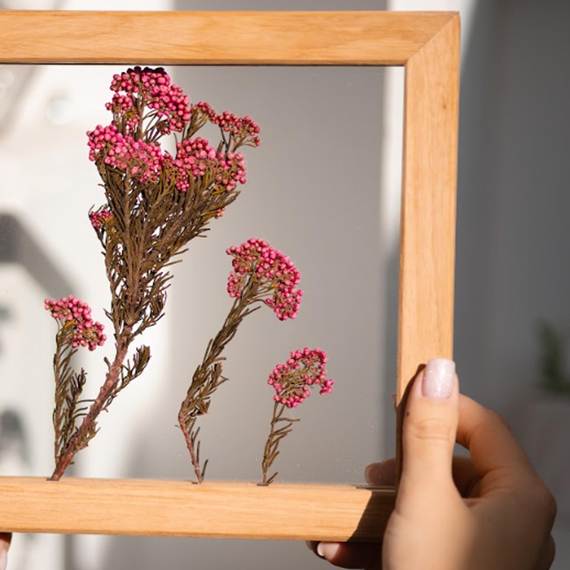 Панно РОЖЕВИЙ МІНІМАЛІЗМ з сухоцвітами - зображення 2