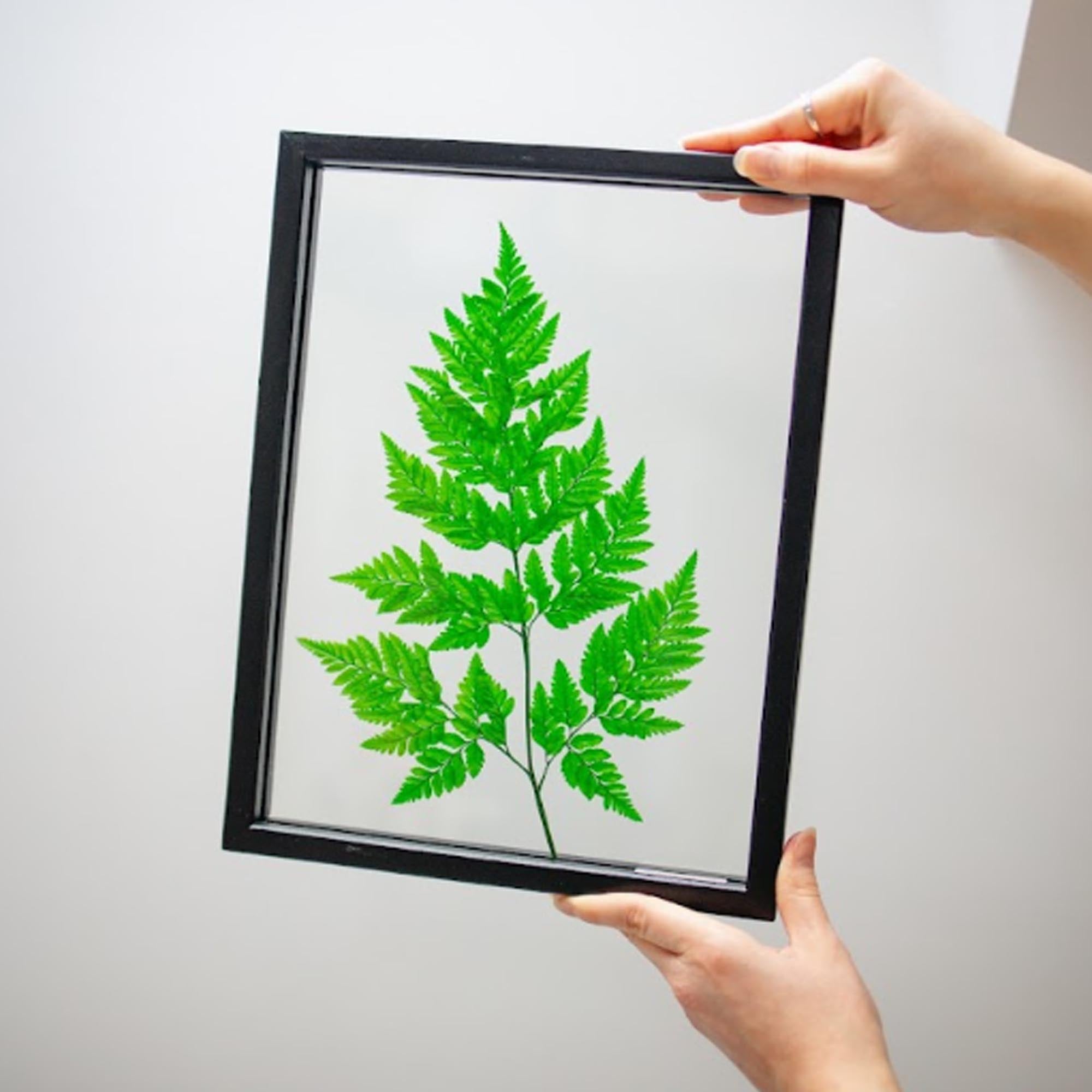 Панно ЗЕЛЕНИЙ ВІДБИТОК - зображення 1