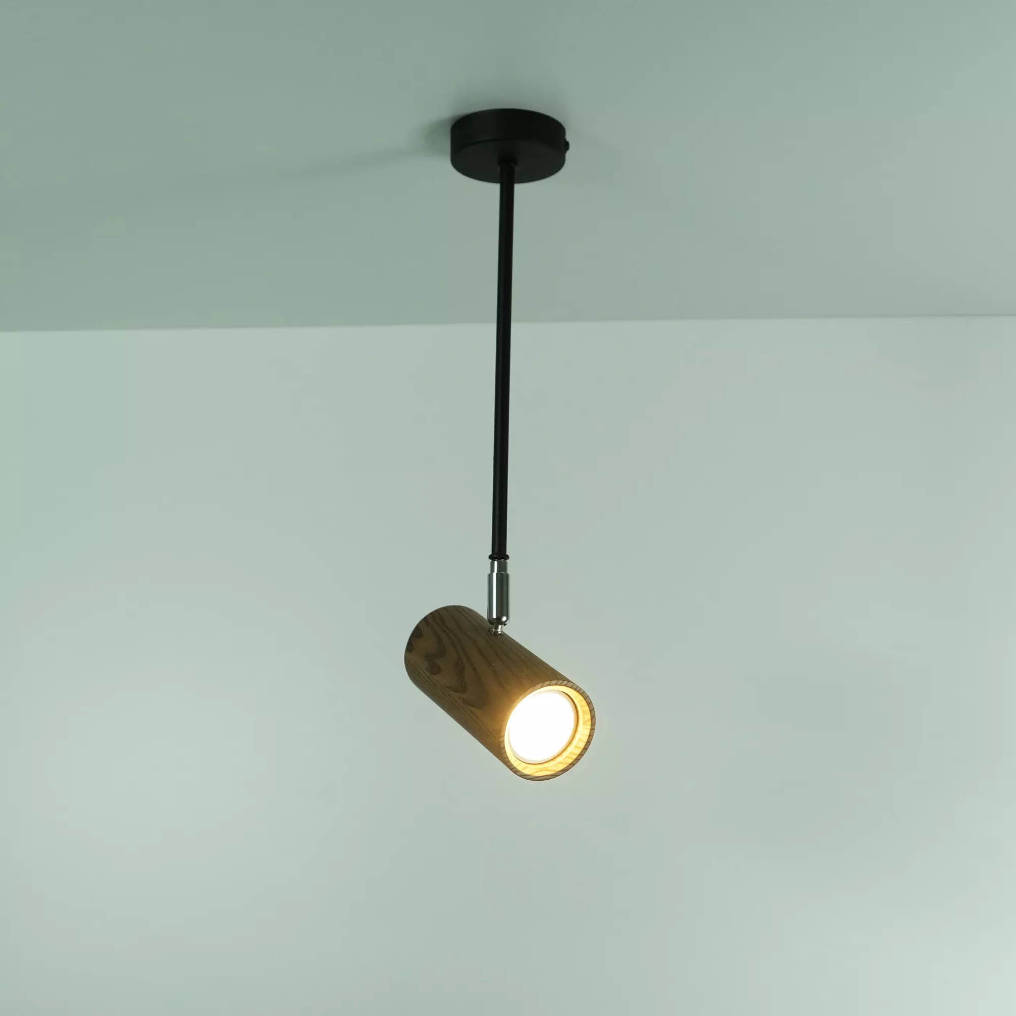 Підвісний світильник ITERNA ALTA SPOT L - зображення 2