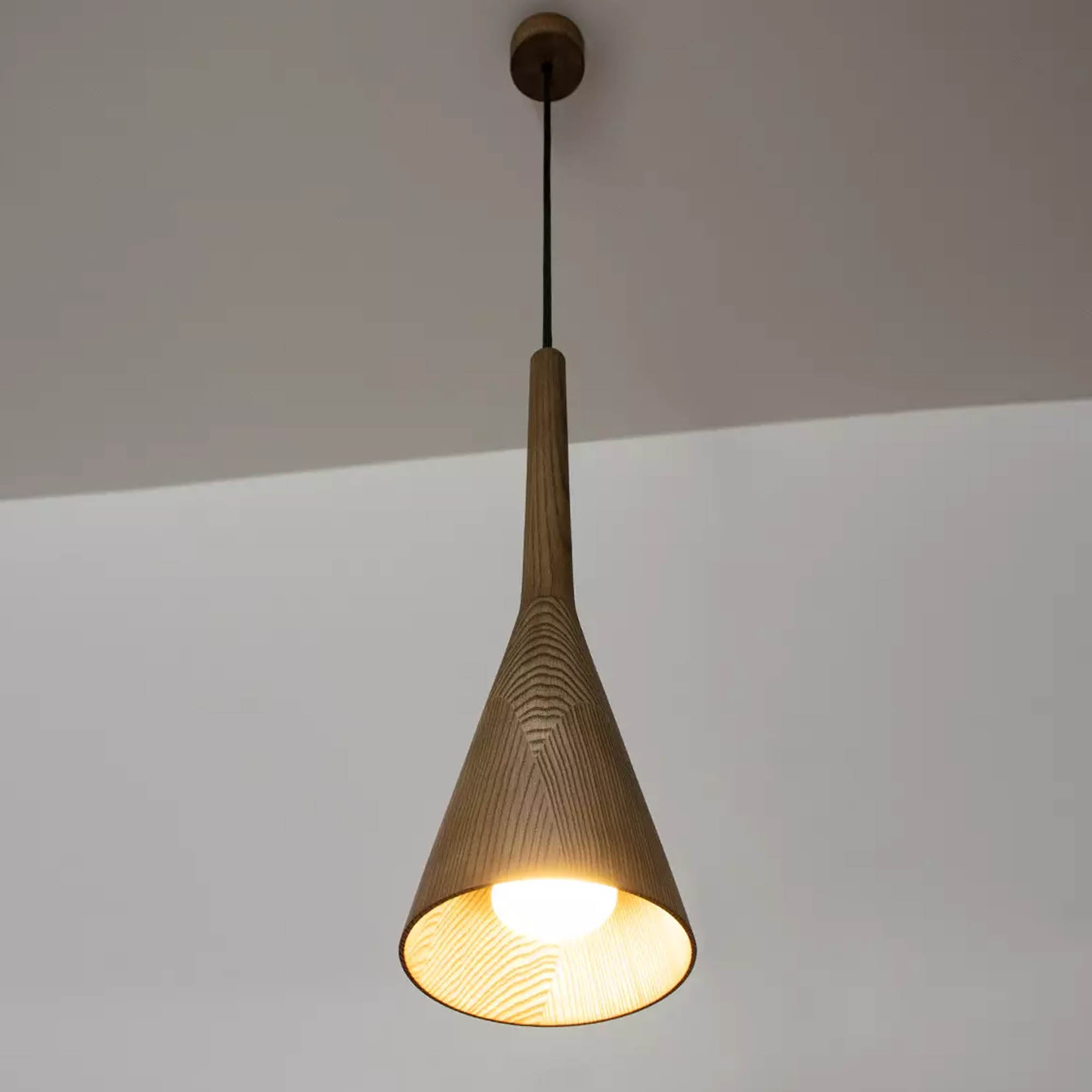 Підвісний світильник ITERNA LIGURIA - зображення 2