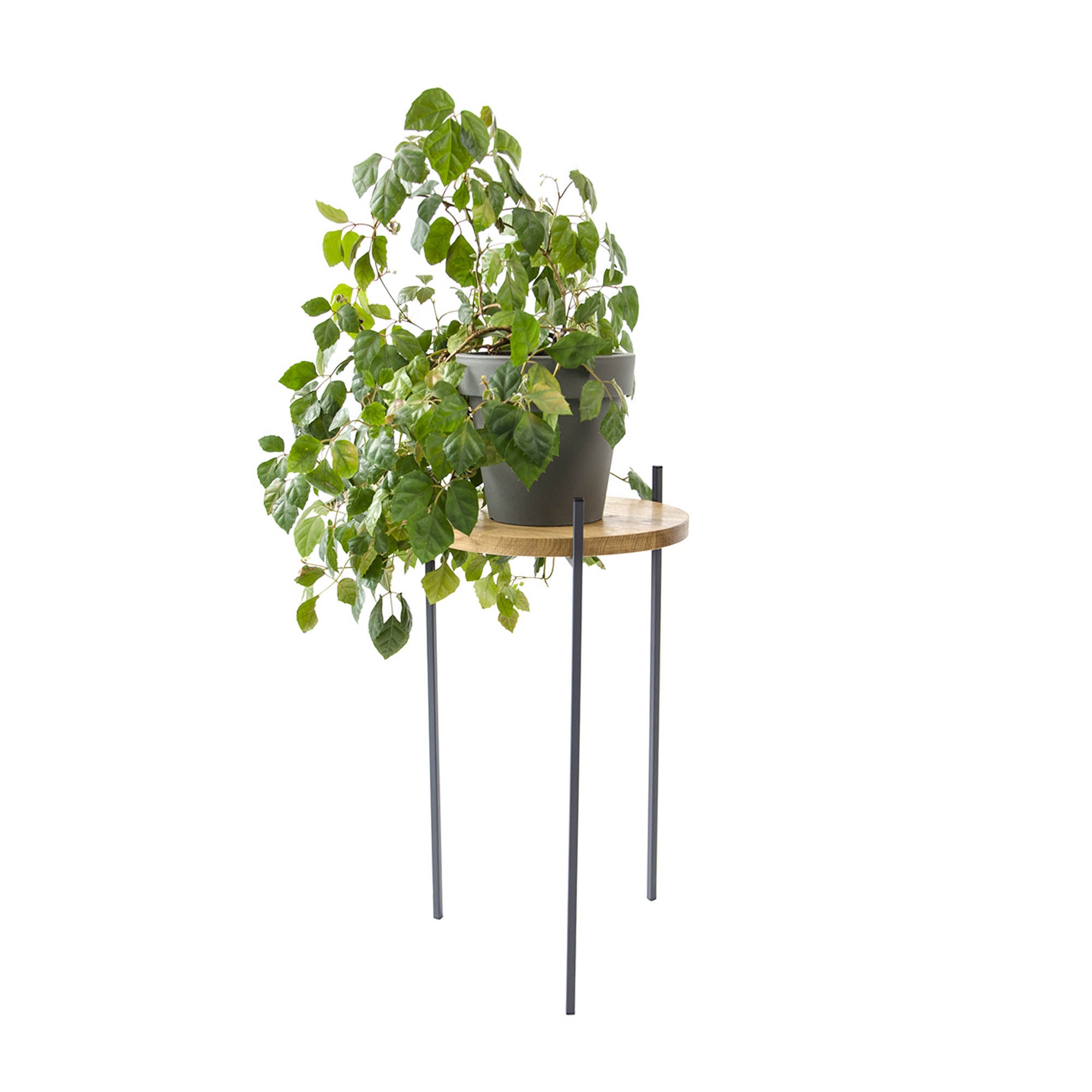 Подставка металлическая под цветы МИРТ, натуральное дерево