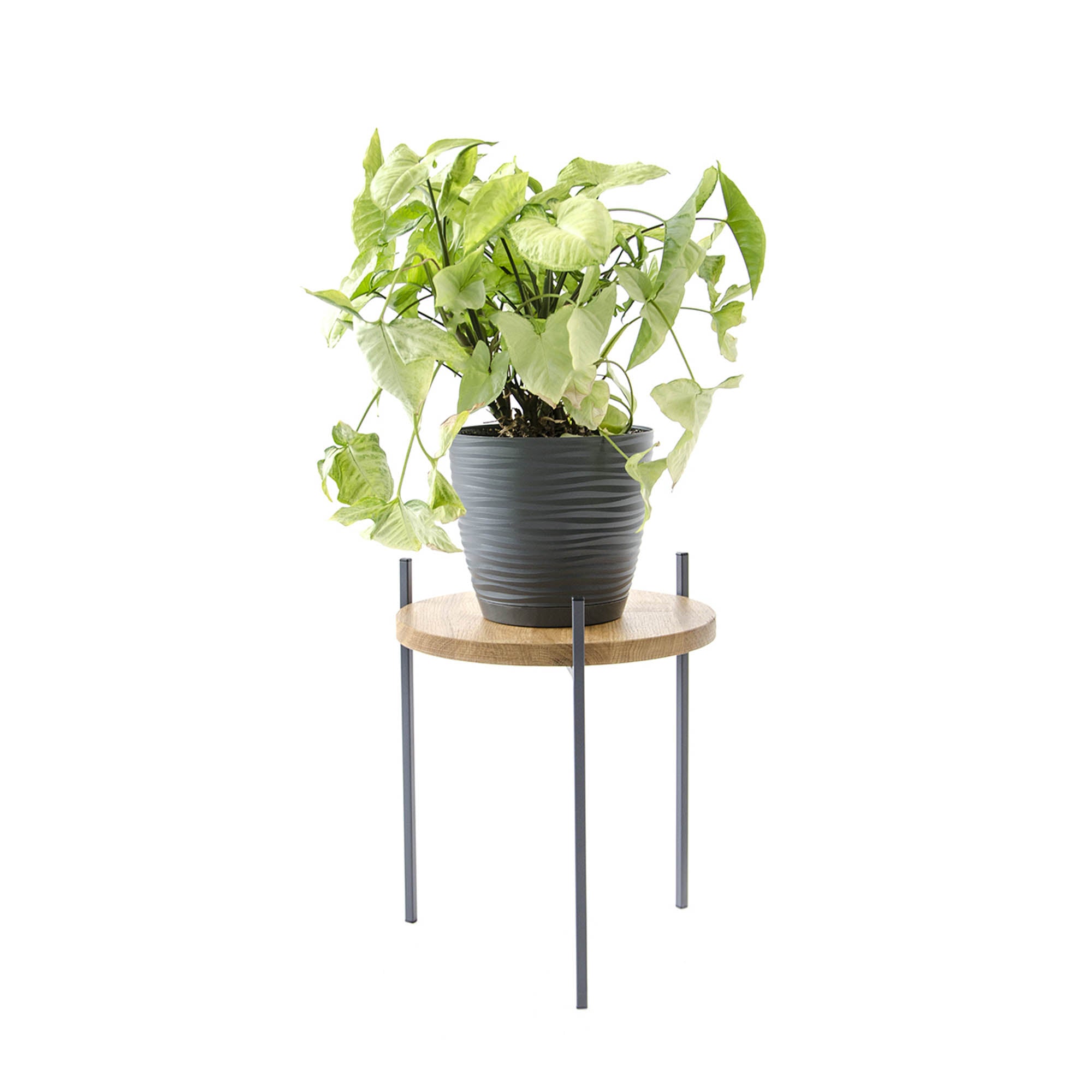 Подставка металлическая под цветы ВАШИНГТОНИЯ, натуральное дерево