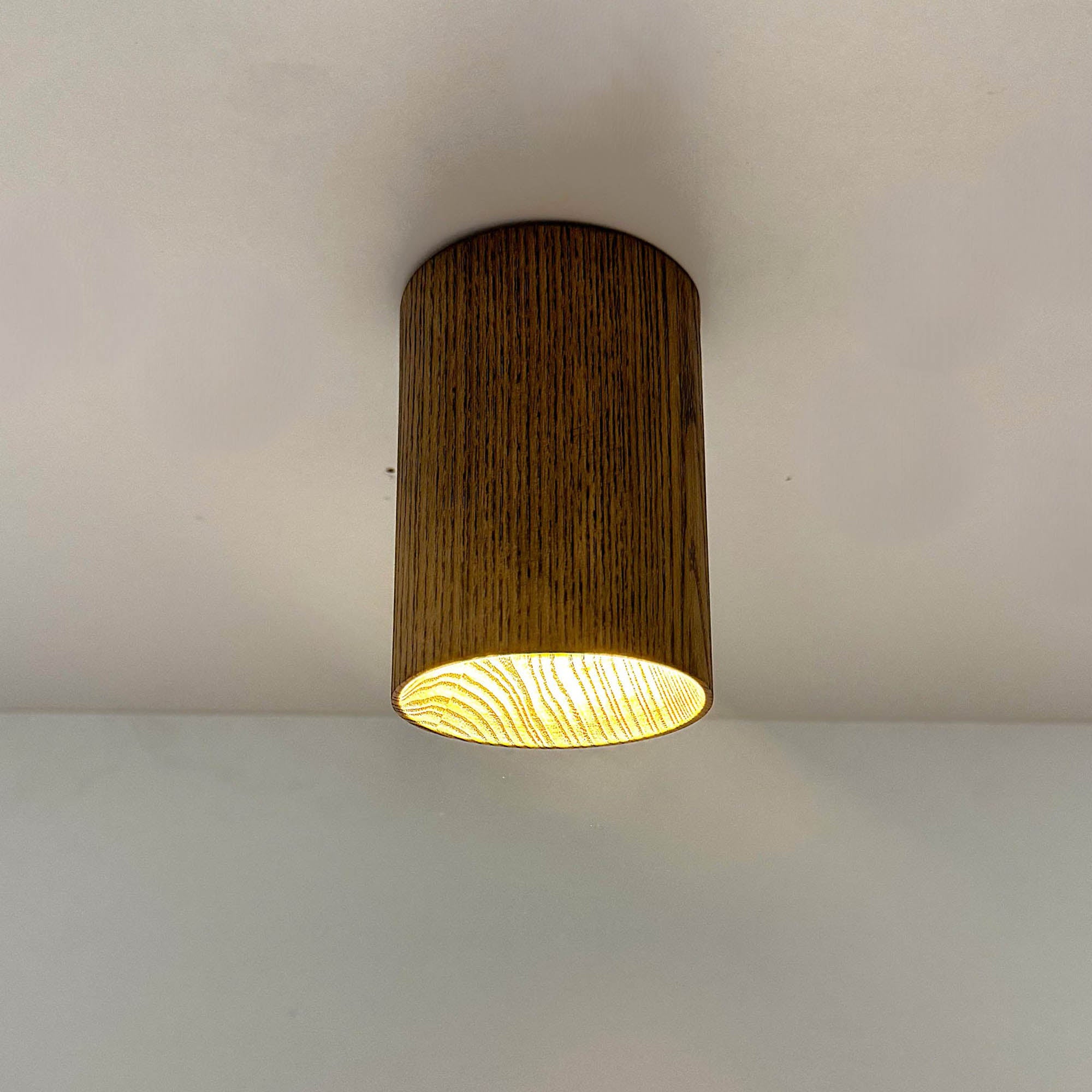 Потолочный светильник ITERNA LEIRVIK C