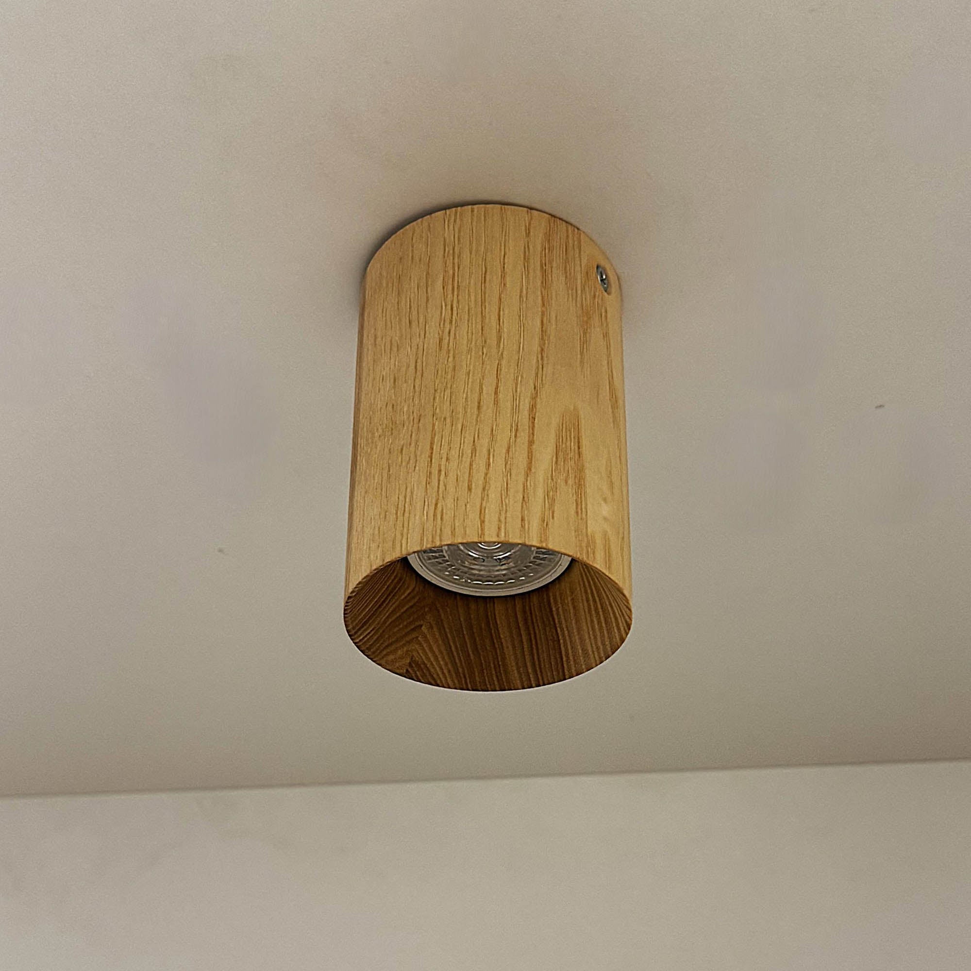 Потолочный светильник ITERNA LEIRVIK C