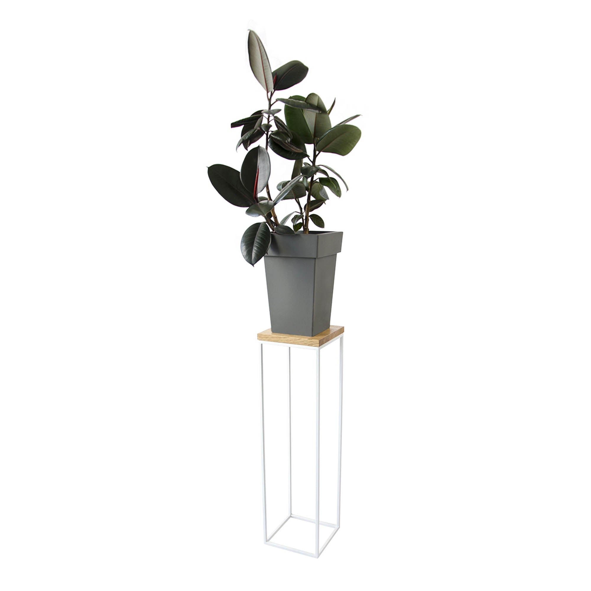 Підставка металева під квіти ДРАЦЕНА, натуральне дерево