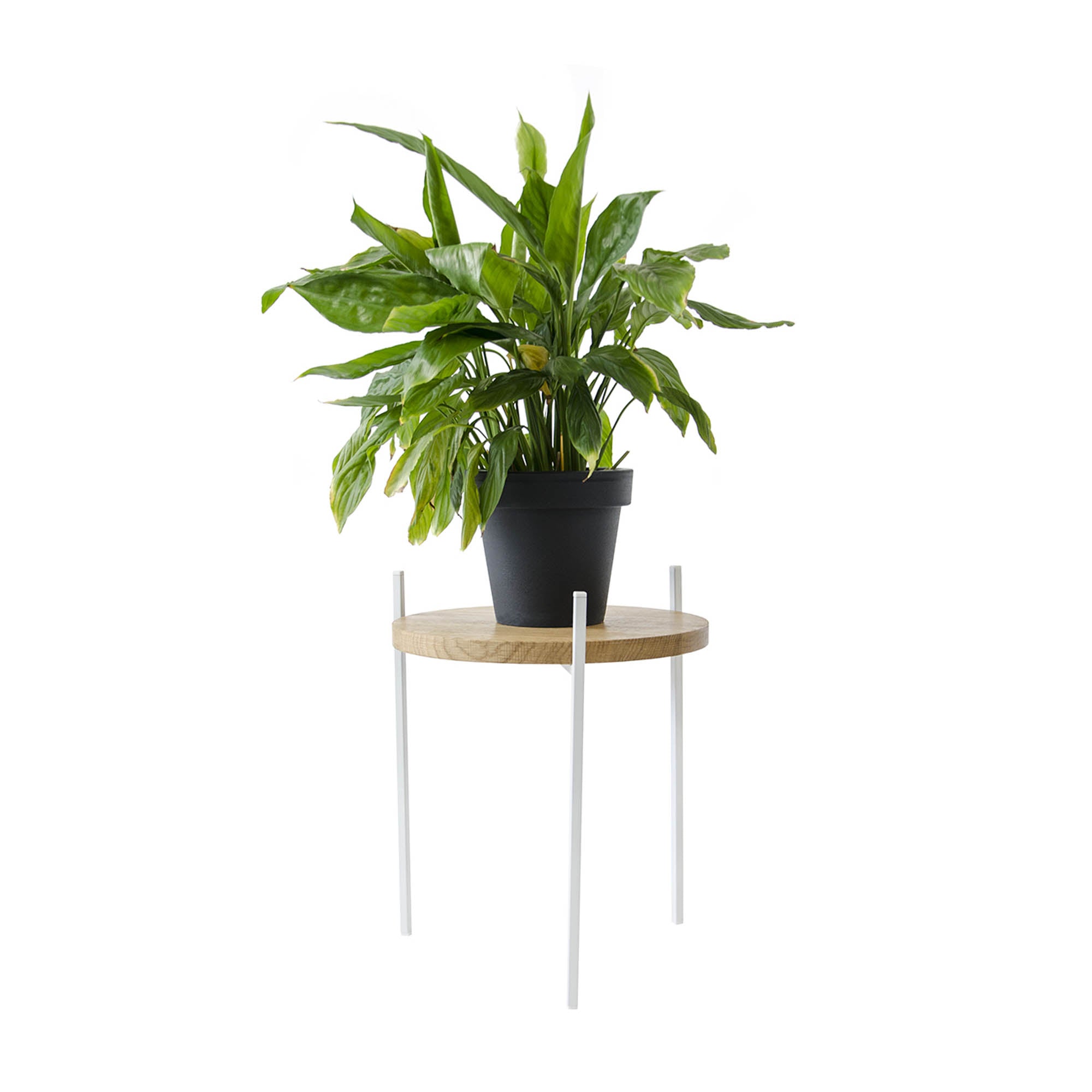 Підставка металева під квіти ВАШИНГТОНІЯ, натуральне дерево