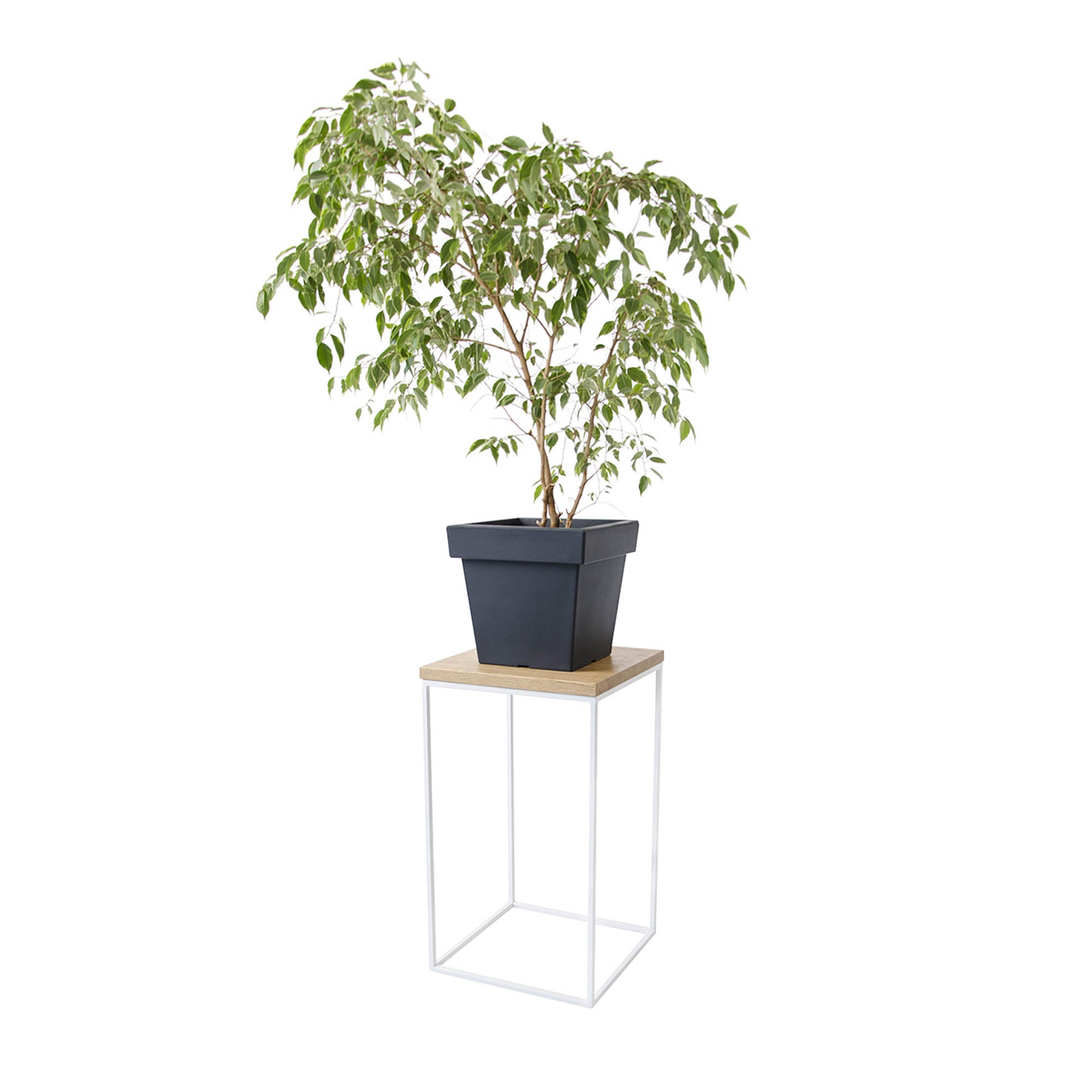 Підставка металева під квіти ЮККА, натуральне дерево