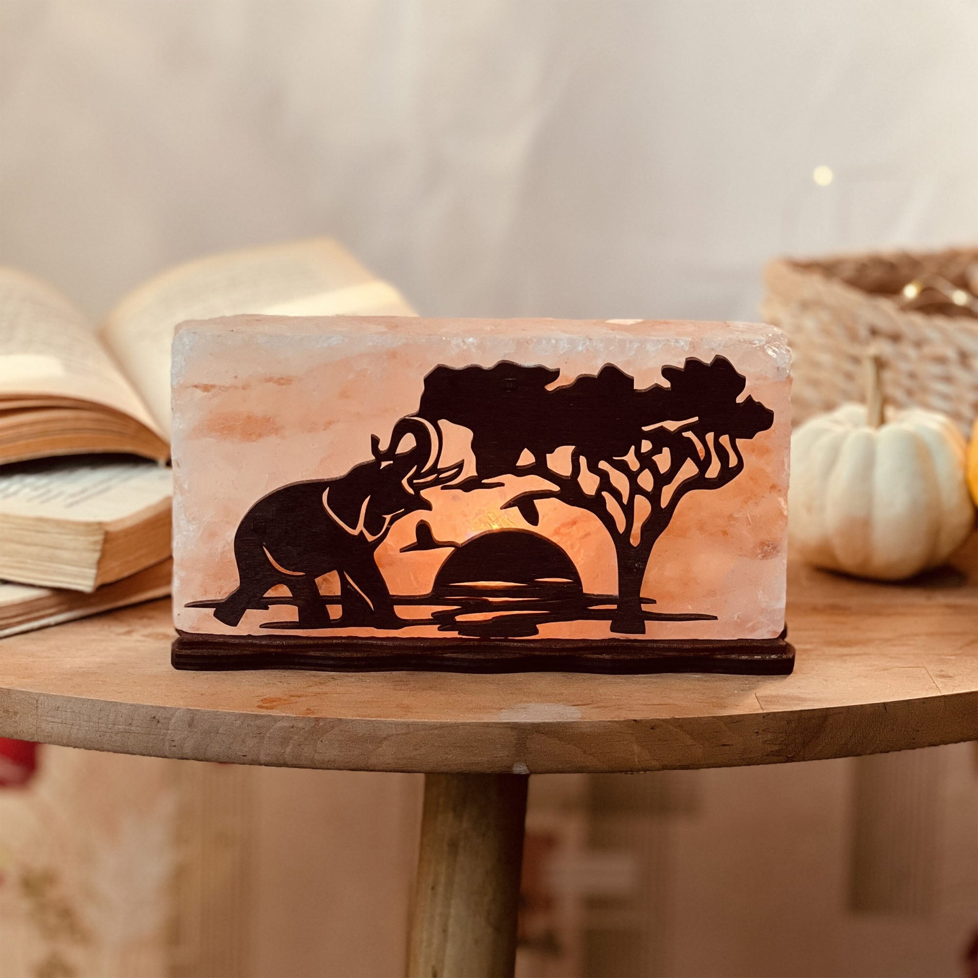 Соляная лампа АФРИКА