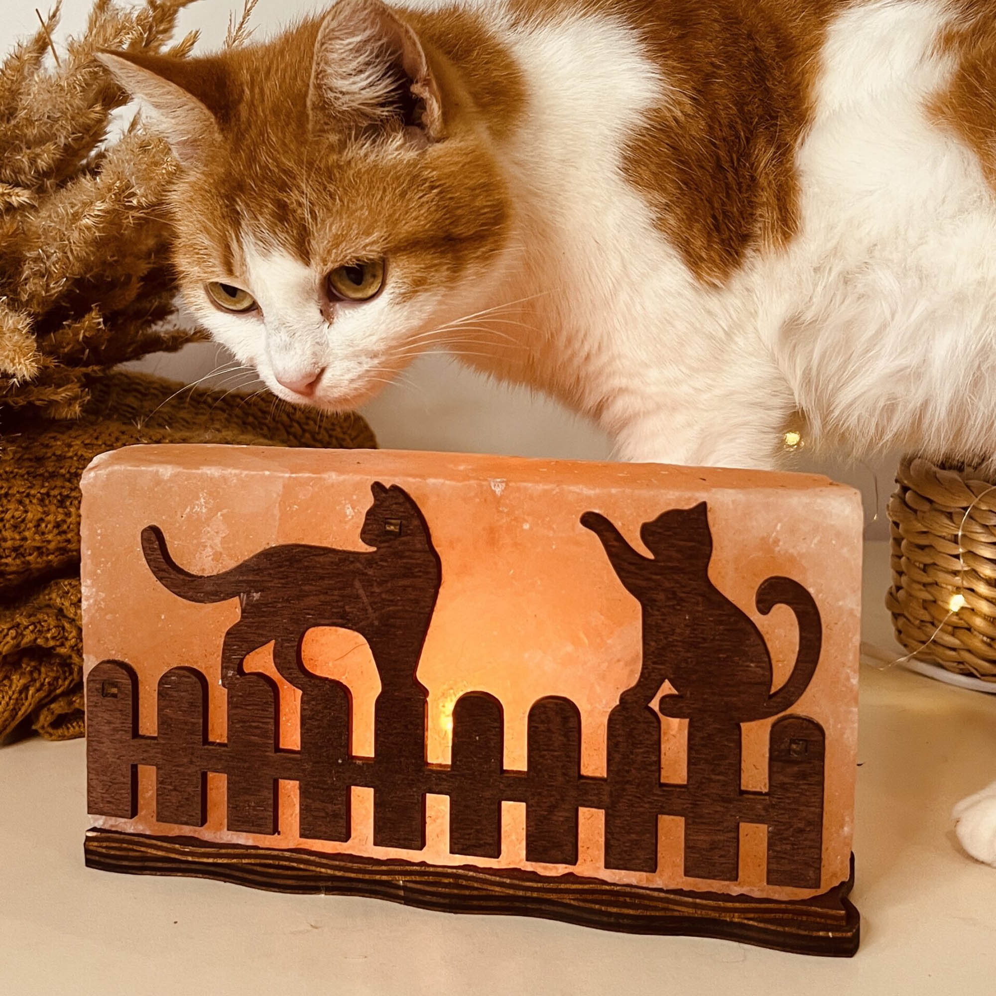 Соляная лампа КОТЫ НА ПАРКАНЕ